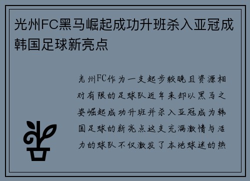 光州FC黑马崛起成功升班杀入亚冠成韩国足球新亮点